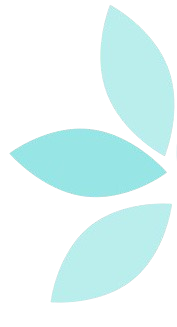 Precosoft Logo